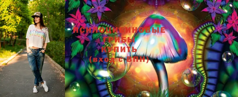 Галлюциногенные грибы Magic Shrooms Шадринск